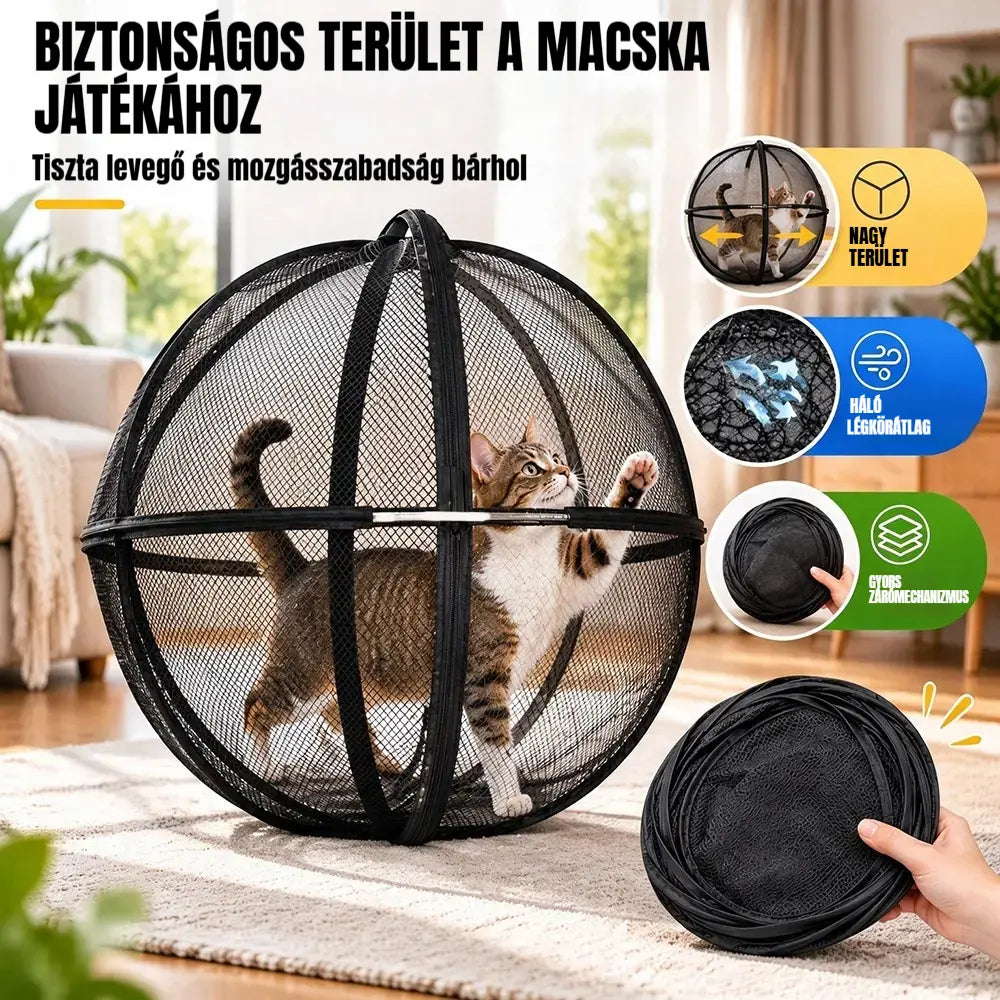 đ 360°-os panorĂĄmĂĄs, gurulĂł macskajĂĄtszĂł â KĂŒltĂ©ri mozgĂĄsösztönzĆ labda hĂĄziĂĄllatoknak â