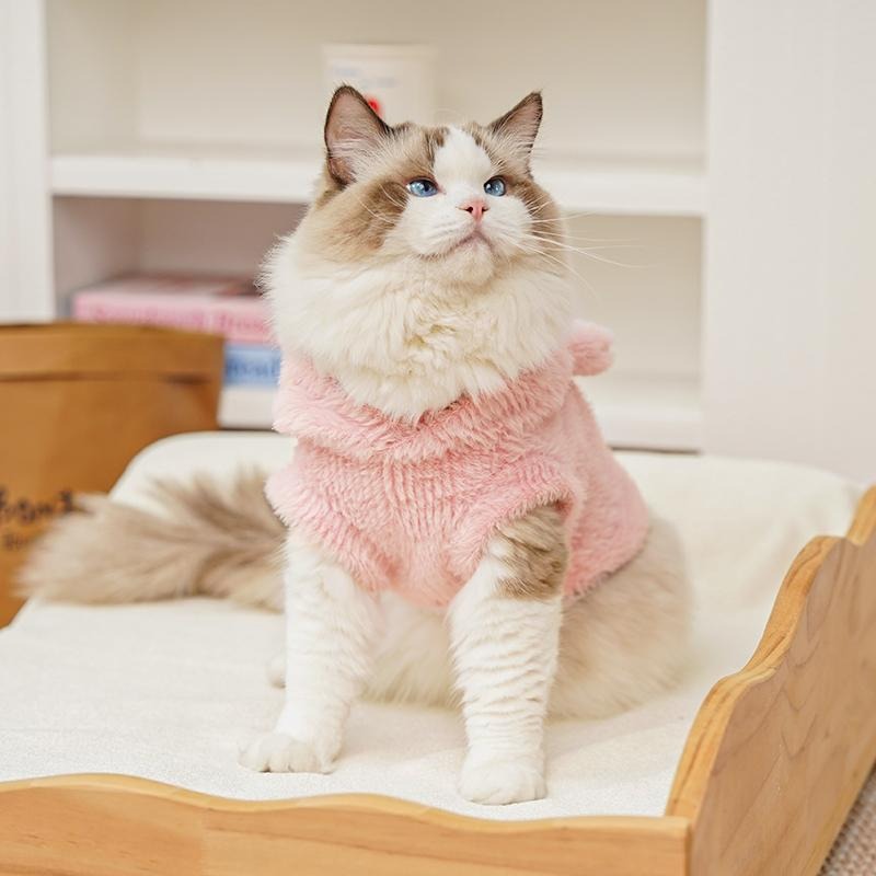 【0,5–10 kg】🧸 Ciepły płaszcz dla psa i kota – miękki, uroczy, z małymi uszkami