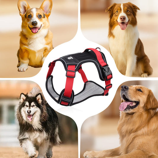 🐶🔥 50% ΕΚΠΤΩΣΗ ΓΙΑ ΠΕΡΙΟΡΙΣΜΕΝΟ ΧΡΟΝΙΚΟ ΔΙΑΣΤΗΜΑ! Ζώνη χωρίς τράβηγμα με λουρί και κολάρο ✨ Μέγιστος έλεγχος και ασφάλεια σε κάθε βόλτα 🌙