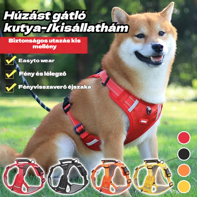 🐶【5-30 kg】Mellényszerű fényvisszaverő hám, kutyapóráz
