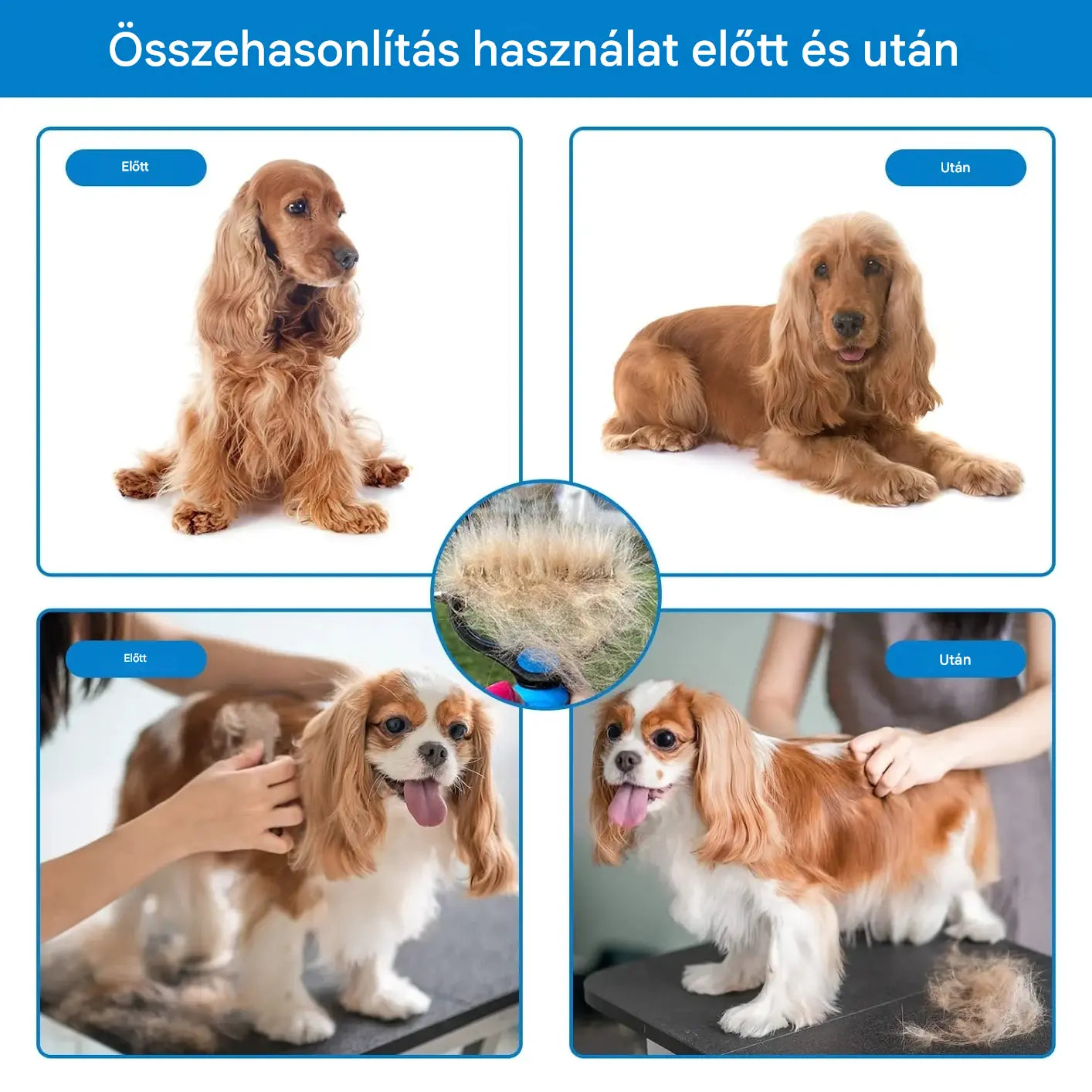 【Vásároljon 1-et, kapjon 1-et ingyen】 Professzionális eszköz kutyák és macskák elhalt szőrének eltávolítására: gyengéd, hatékony és szőrmentes otthon
