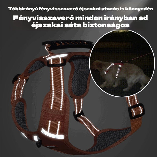 🐶【5-30 kg】Mellényszerű fényvisszaverő hám, kutyapóráz