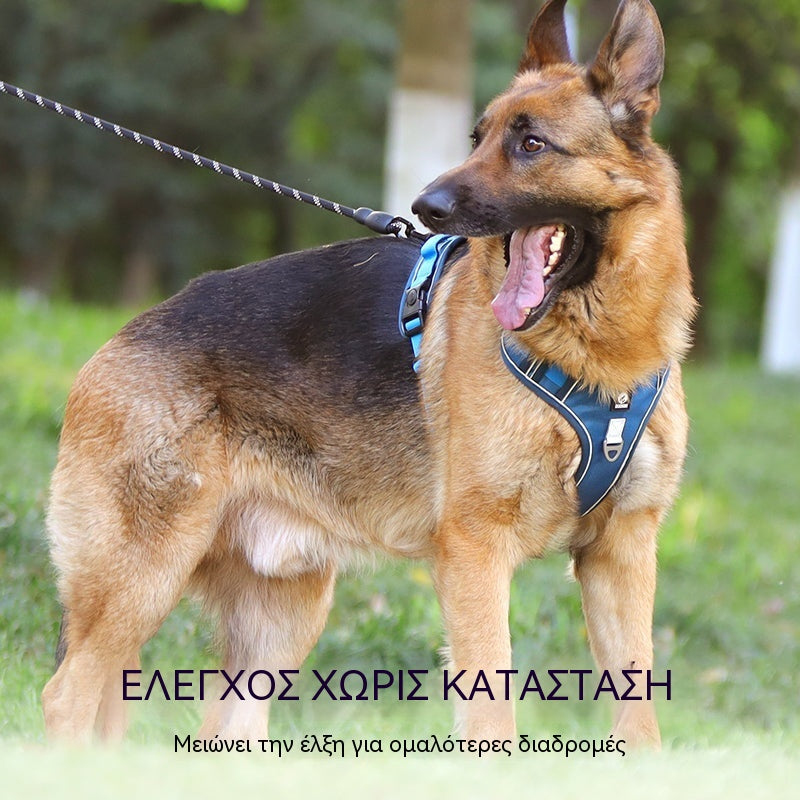 🐶🔥 50% ΕΚΠΤΩΣΗ ΓΙΑ ΠΕΡΙΟΡΙΣΜΕΝΟ ΧΡΟΝΙΚΟ ΔΙΑΣΤΗΜΑ! Ζώνη χωρίς τράβηγμα με λουρί και κολάρο ✨ Μέγιστος έλεγχος και ασφάλεια σε κάθε βόλτα 🌙
