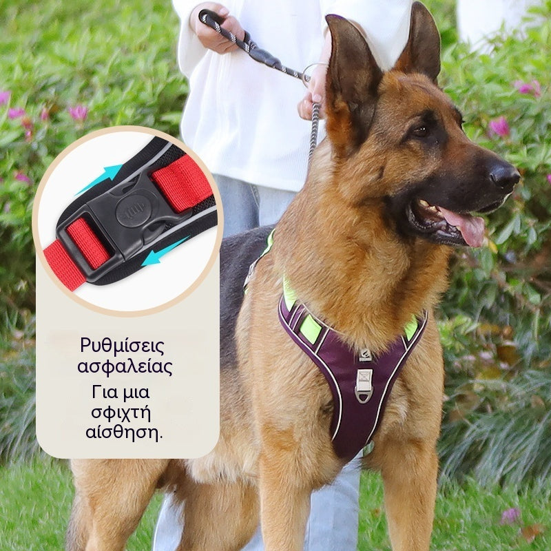 🐶🔥 50% ΕΚΠΤΩΣΗ ΓΙΑ ΠΕΡΙΟΡΙΣΜΕΝΟ ΧΡΟΝΙΚΟ ΔΙΑΣΤΗΜΑ! Ζώνη χωρίς τράβηγμα με λουρί και κολάρο ✨ Μέγιστος έλεγχος και ασφάλεια σε κάθε βόλτα 🌙