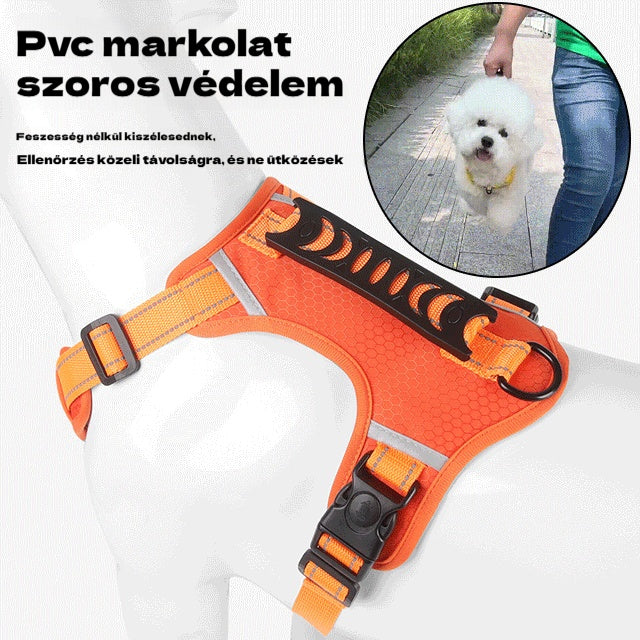 🐶【5-30 kg】Mellényszerű fényvisszaverő hám, kutyapóráz