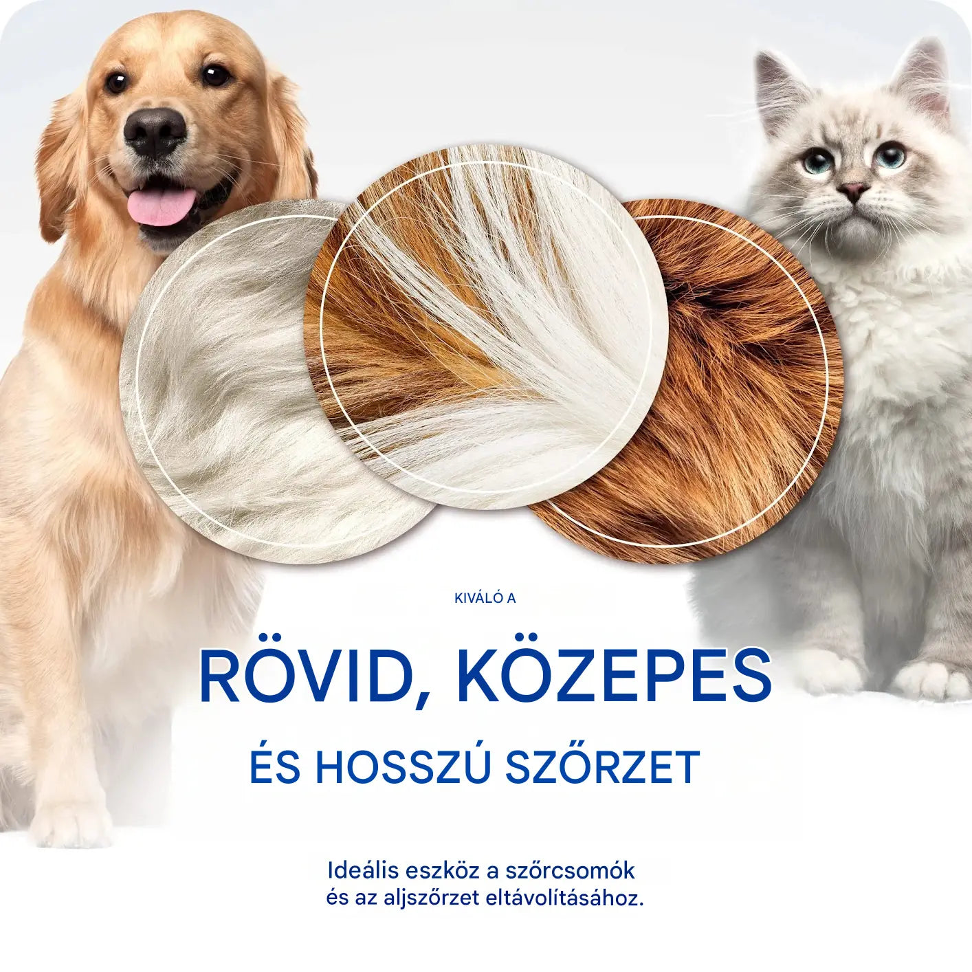 【Vásároljon 1-et, kapjon 1-et ingyen】 Professzionális eszköz kutyák és macskák elhalt szőrének eltávolítására: gyengéd, hatékony és szőrmentes otthon