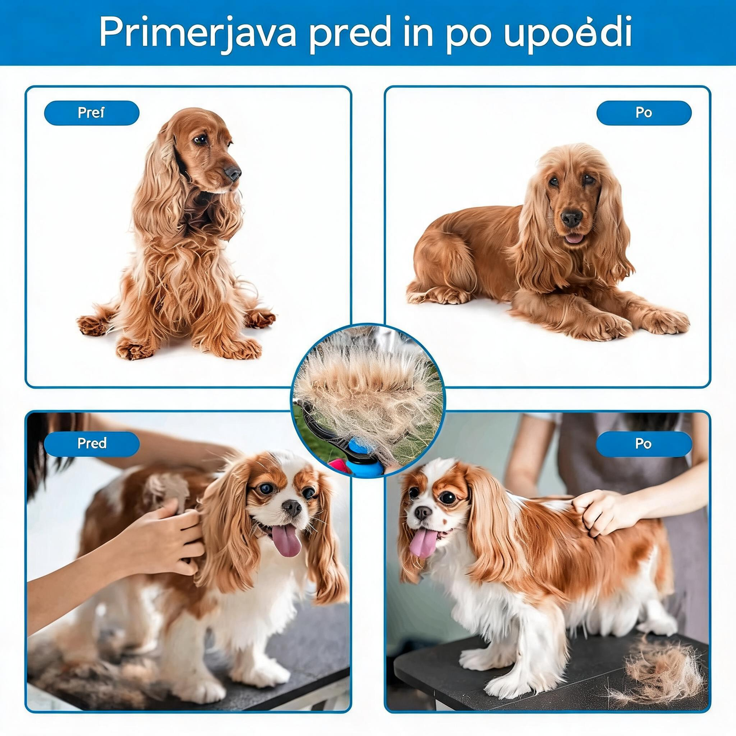 🐾 Profesionalno orodje za odstranjevanje odmrle dlake pri psih in mačkah: nežno, učinkovito in brez dlak doma ✨💖